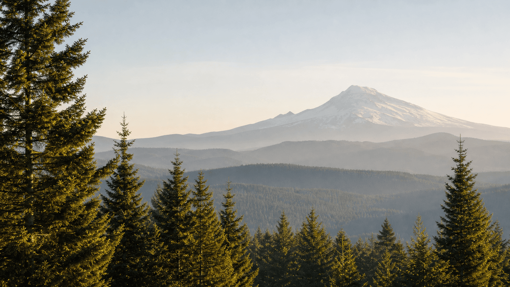 Evergreen trees with Mount Rainier in the distance, representing Build-a-Dress roots in Washington